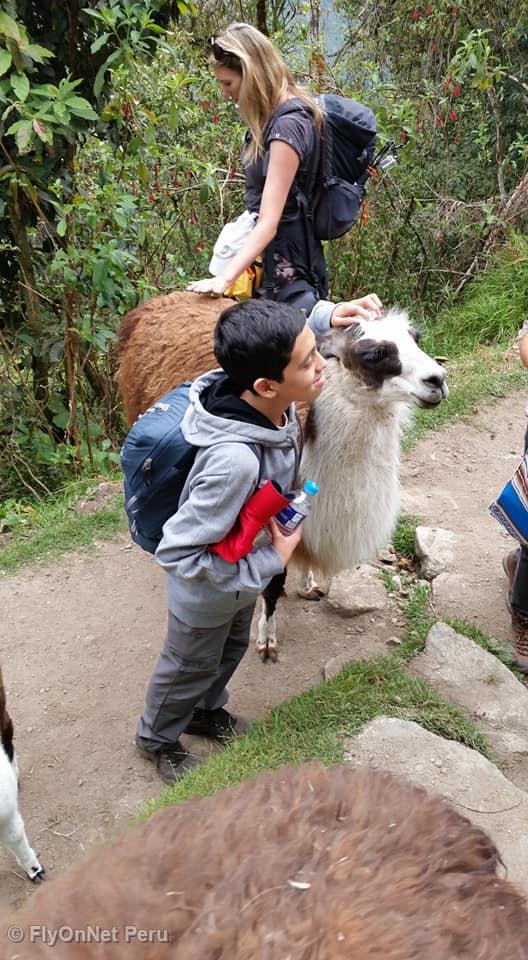 Fotoalbum: Machu Picchu