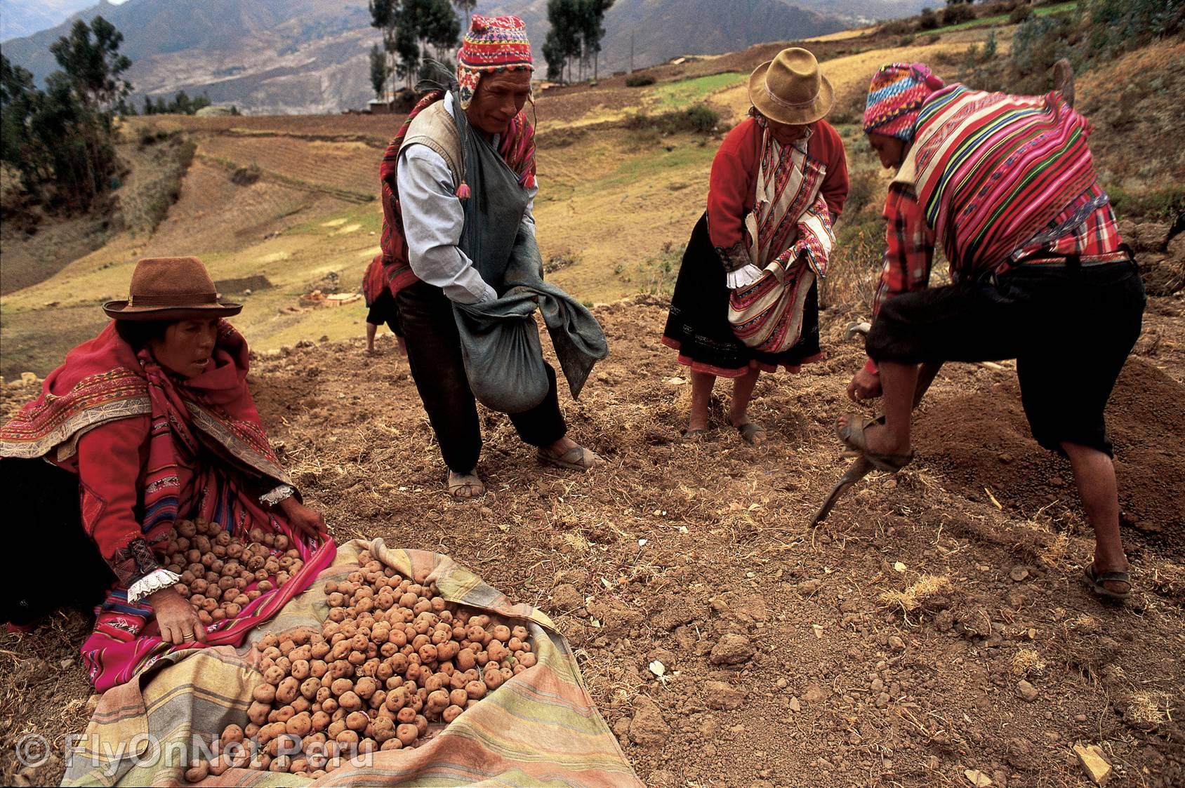Fotoalbum: Cuzco